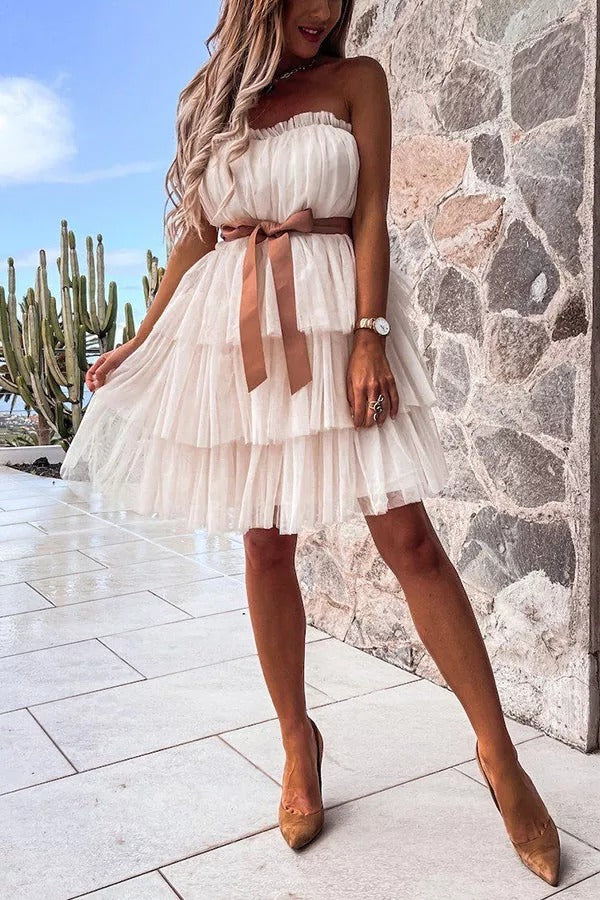 Find The Light Off Shoulder Tulle Cake Dress