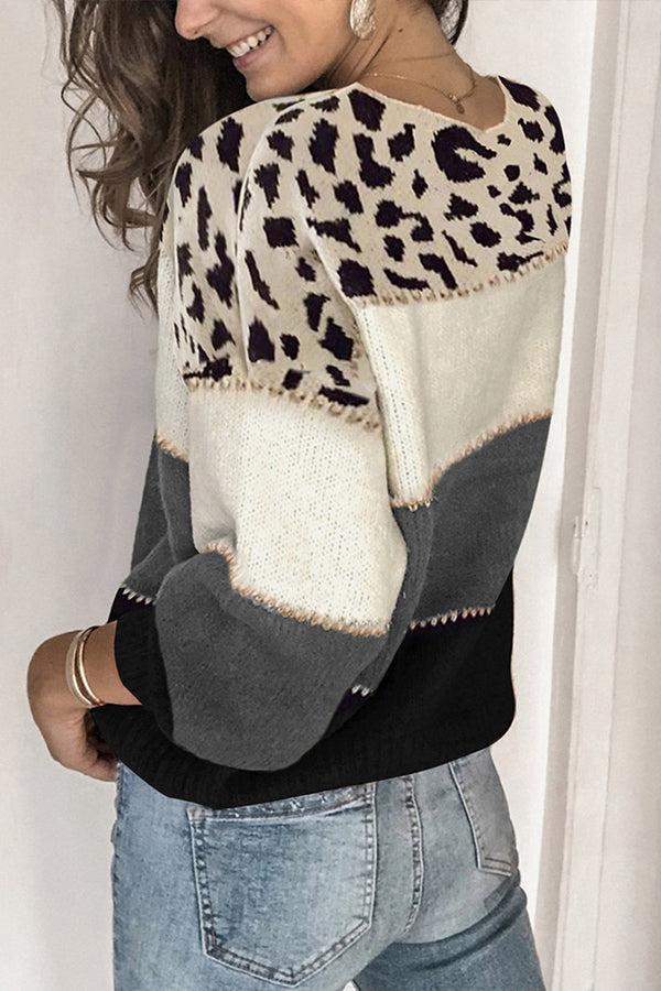 Spirit Animal Colorblock Sweater