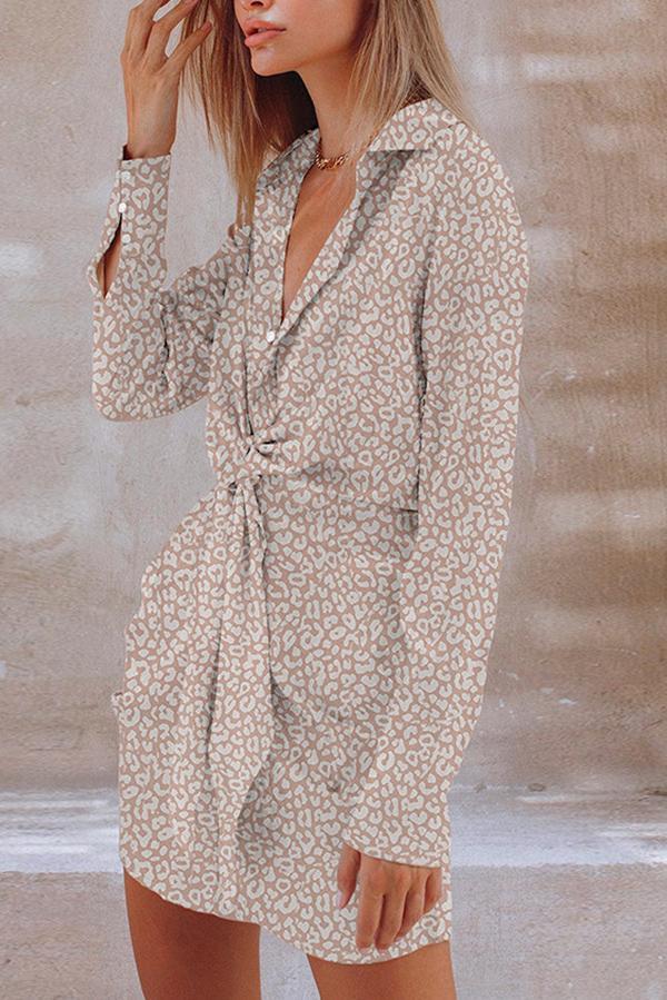 Leopard Print Shirt Dress