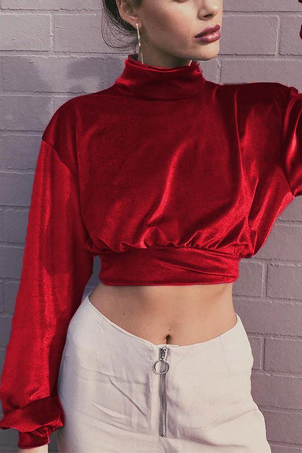 Velvet Short Cropped Thin Top