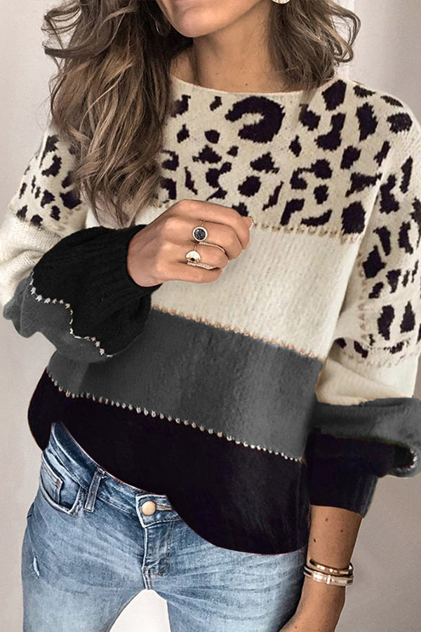 Spirit Animal Colorblock Sweater