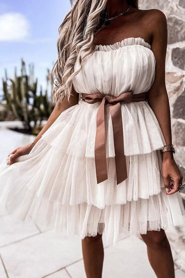 Find The Light Off Shoulder Tulle Cake Dress