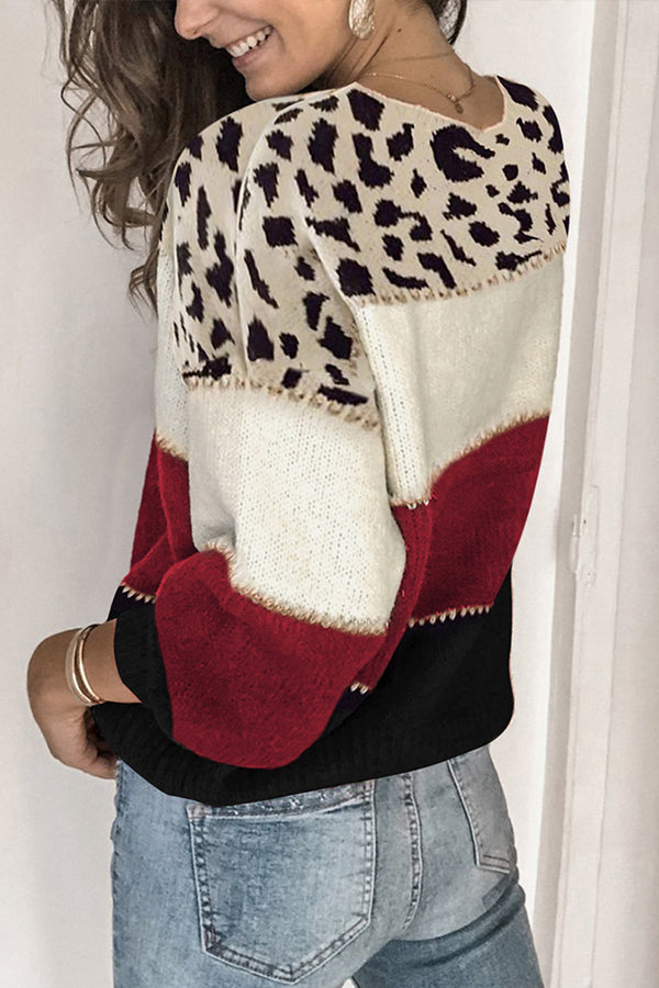 Spirit Animal Colorblock Sweater