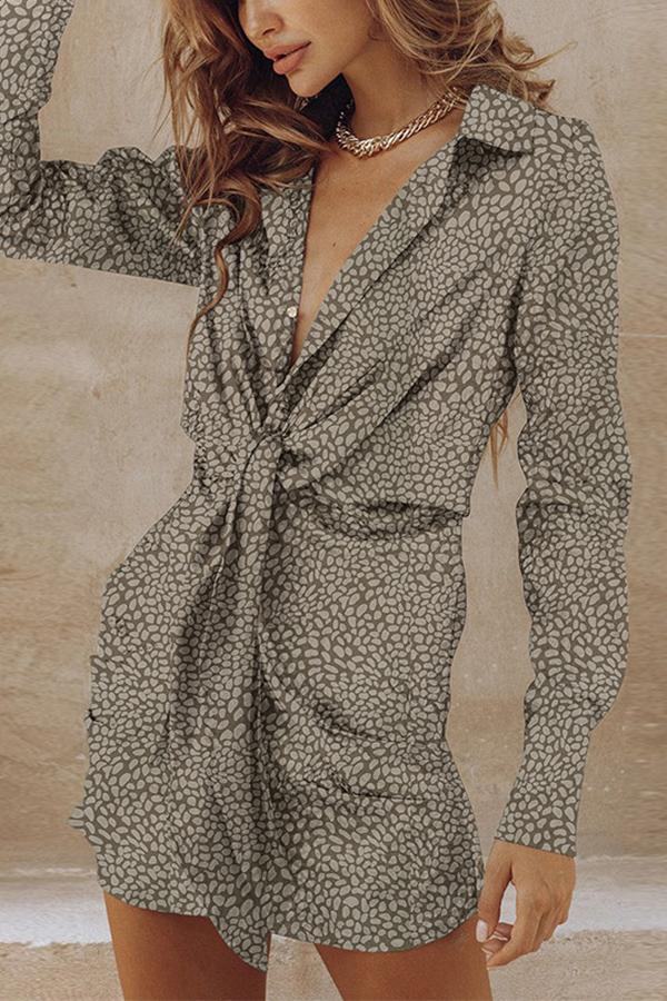 Leopard Print Shirt Dress