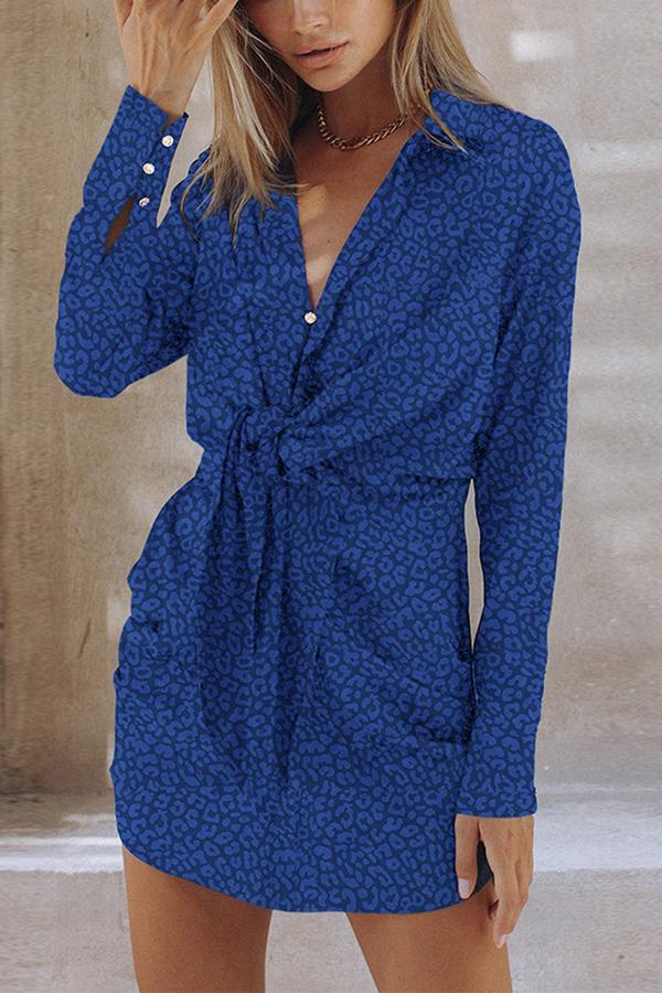 Leopard Print Shirt Dress