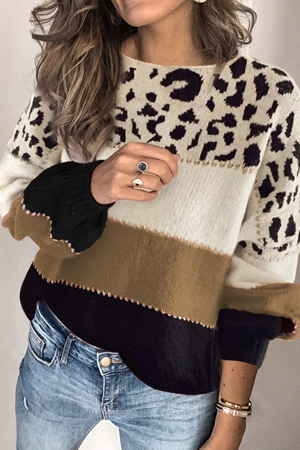 Spirit Animal Colorblock Sweater