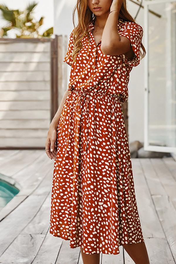 Polka Dot A-line Long Dress