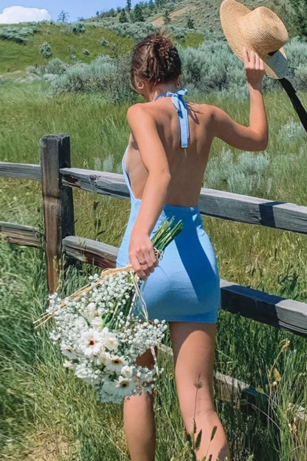 Vacation Package Hip Backless Camisole Sweater Dress