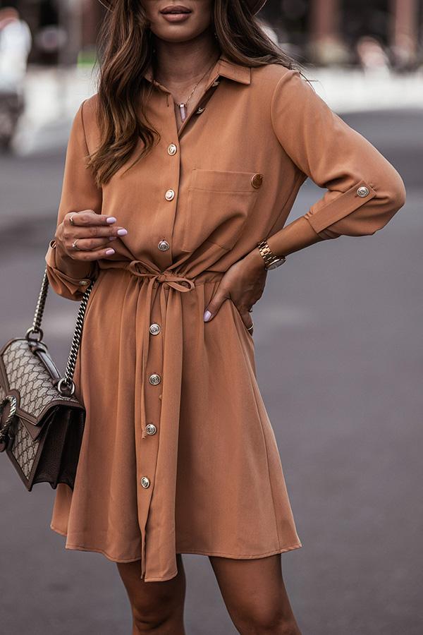 Pocketed Button Down Shirt Dress
