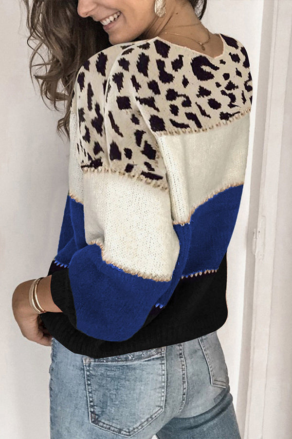 Spirit Animal Colorblock Sweater
