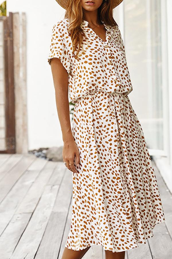Polka Dot A-line Long Dress