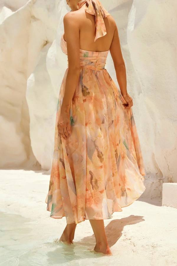 Watercolor Halter-Neck Waisted Maxi Dress