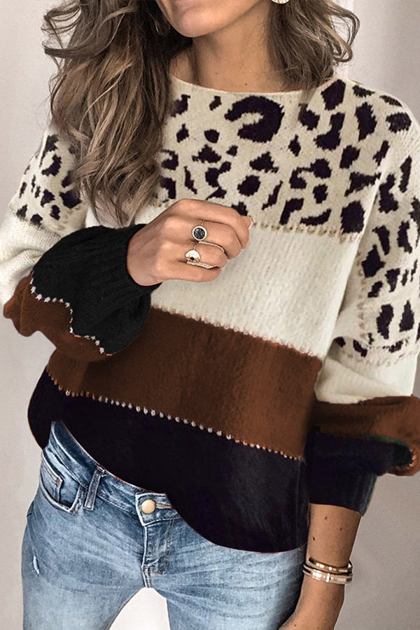Spirit Animal Colorblock Sweater