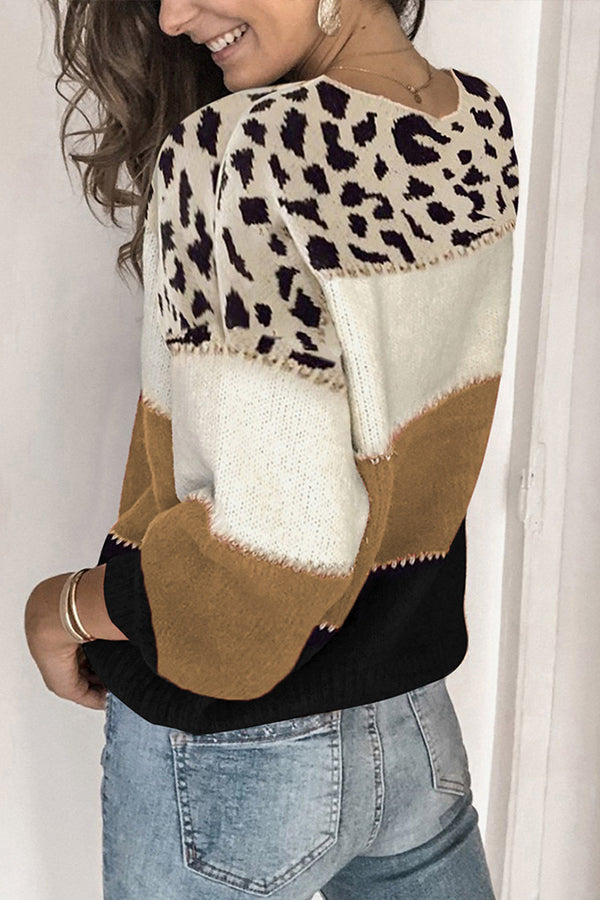 Spirit Animal Colorblock Sweater