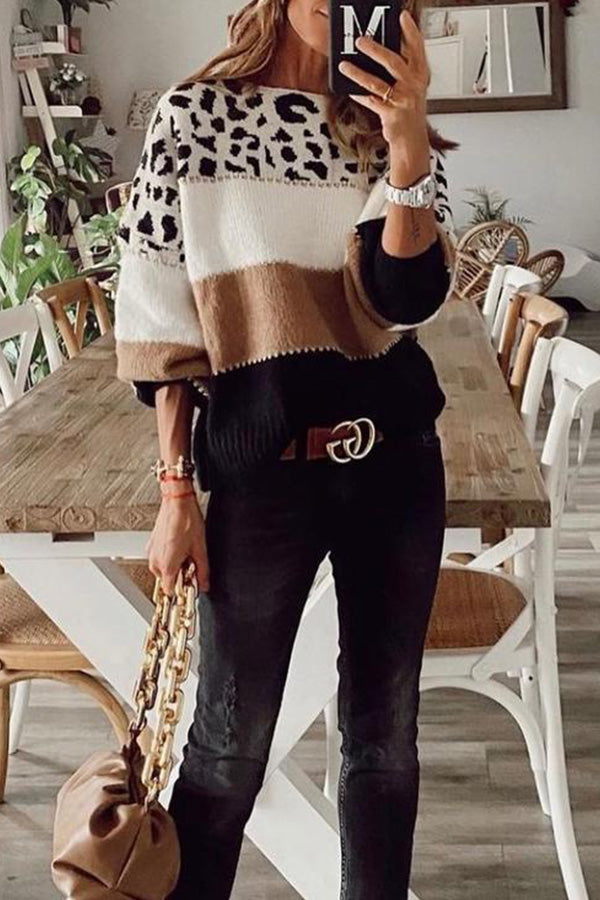 Spirit Animal Colorblock Sweater