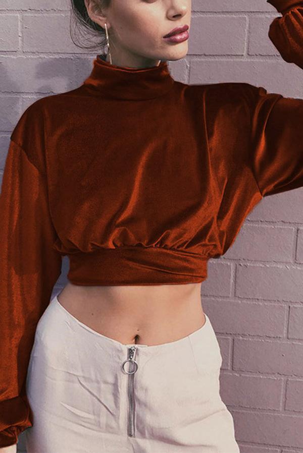 Velvet Short Cropped Thin Top