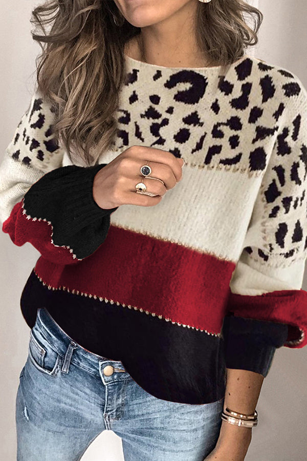 Spirit Animal Colorblock Sweater