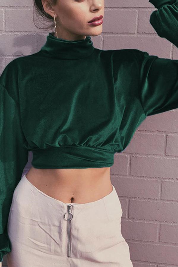 Velvet Short Cropped Thin Top