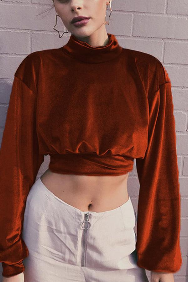 Velvet Short Cropped Thin Top