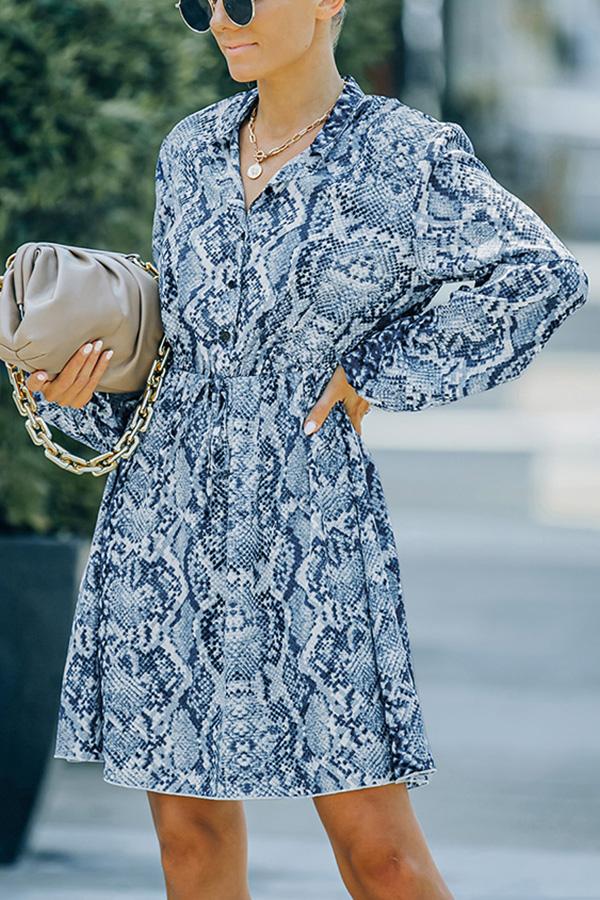 Printed Button Down Mini Dress
