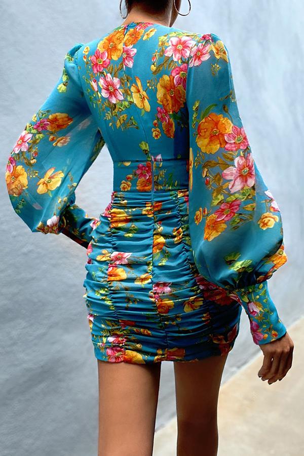 Printed Chiffon Pleated Dress
