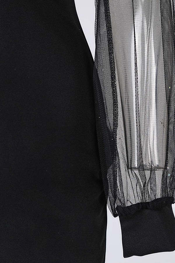 Glitter Semi Sheer Mesh Party Dress