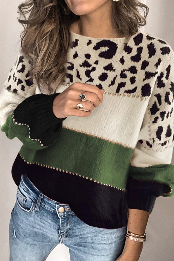 Spirit Animal Colorblock Sweater