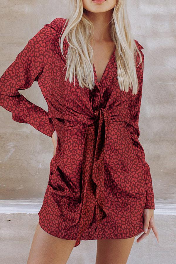 Leopard Print Shirt Dress