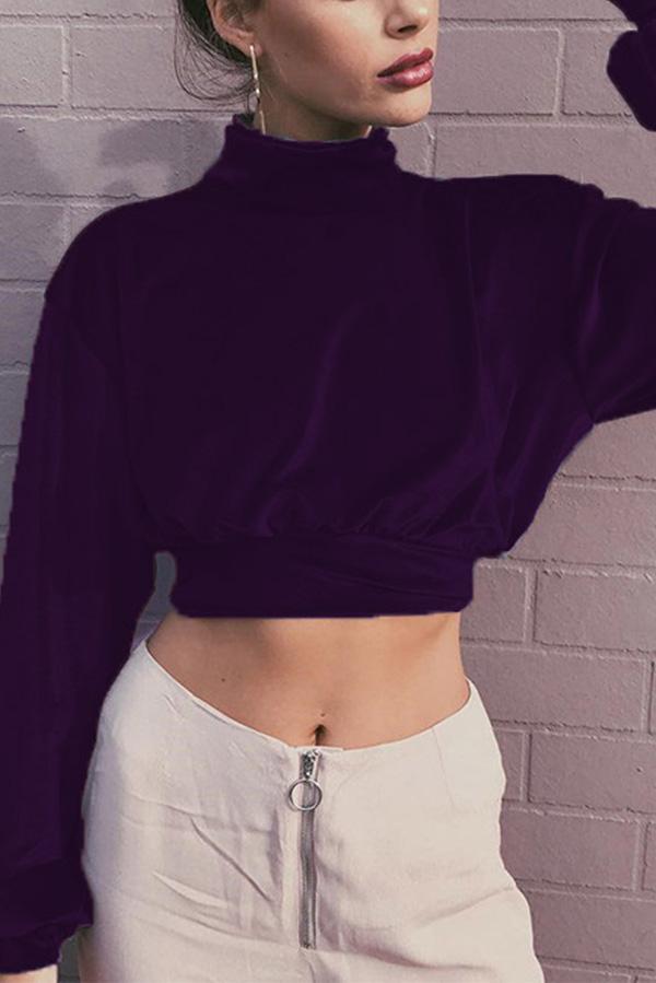 Velvet Short Cropped Thin Top