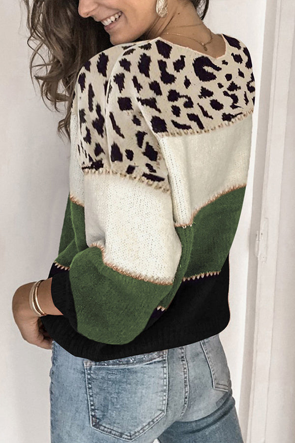 Spirit Animal Colorblock Sweater