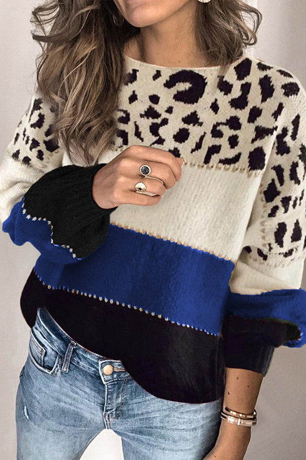 Spirit Animal Colorblock Sweater