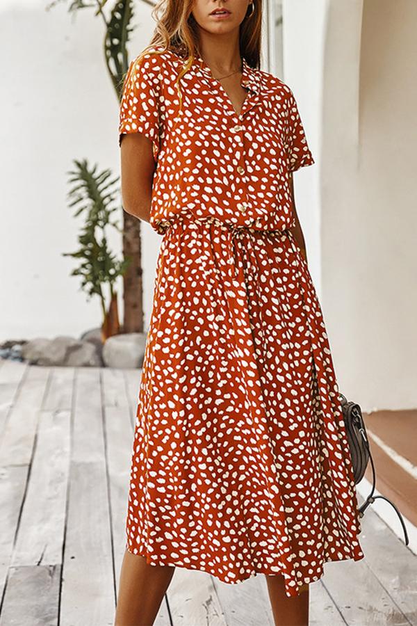 Polka Dot A-line Long Dress