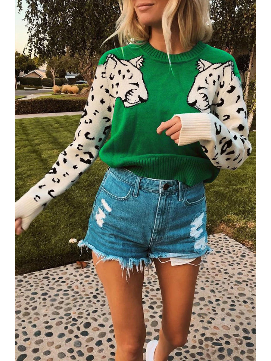 Casual Animal Print Sweater (6 Colors)