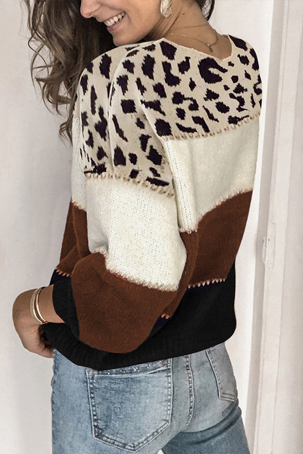 Spirit Animal Colorblock Sweater