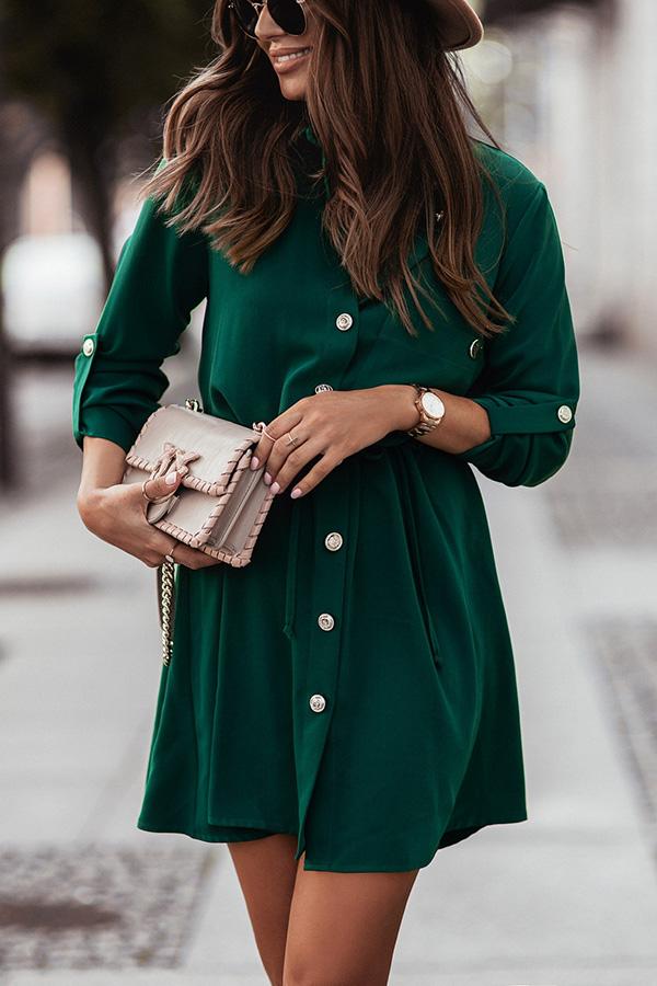 Pocketed Button Down Shirt Dress