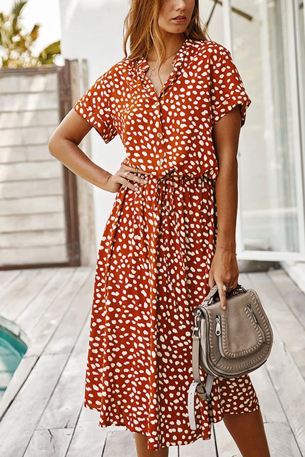 Polka Dot A-line Long Dress