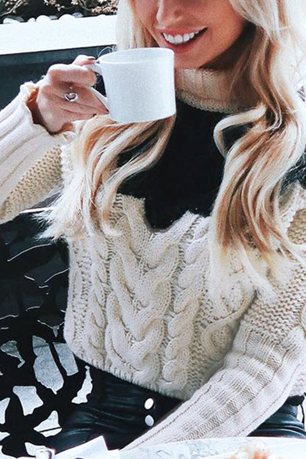 New warm turtleneck sweater