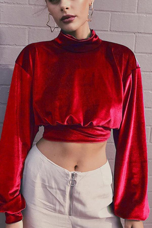 Velvet Short Cropped Thin Top