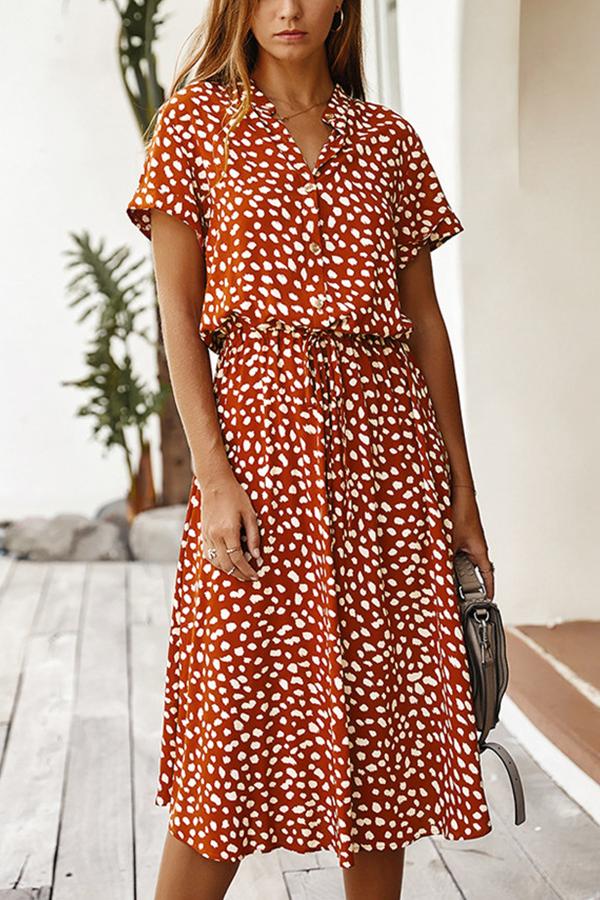 Polka Dot A-line Long Dress