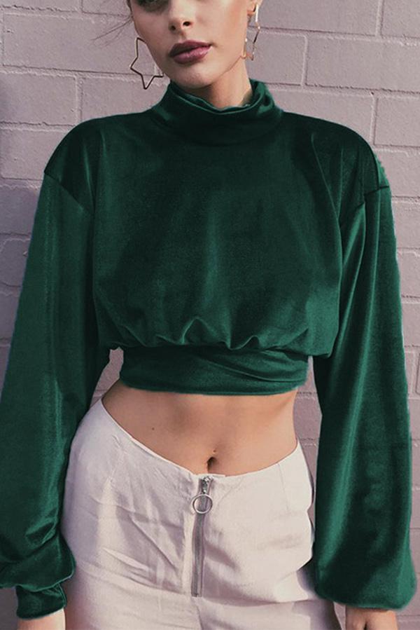 Velvet Short Cropped Thin Top